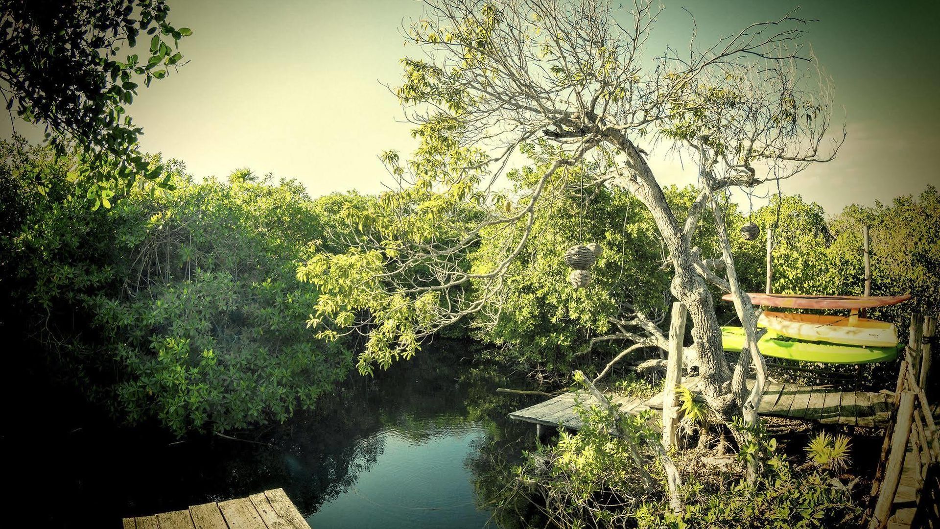 Manglex Eco Tulum
