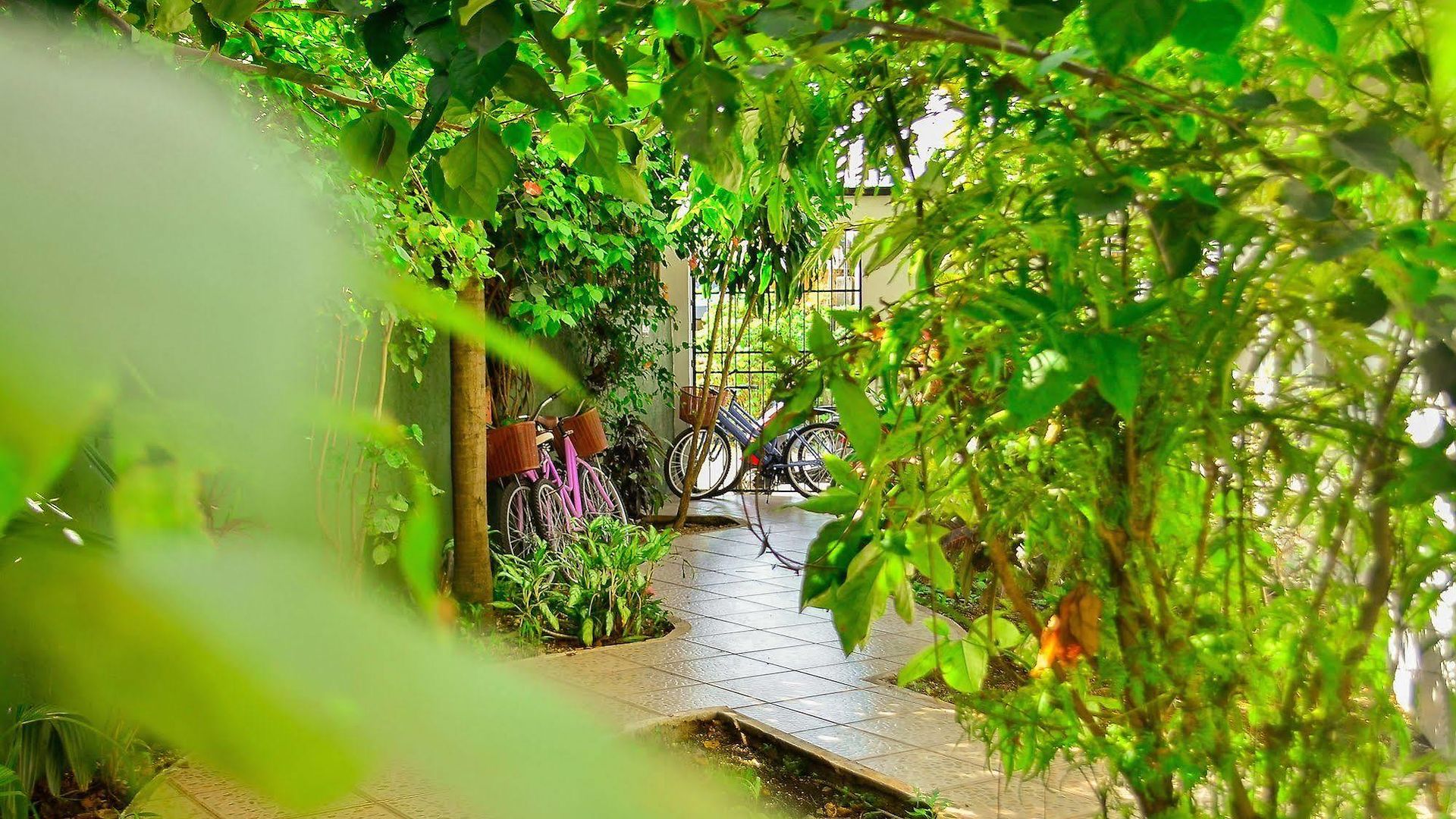 Hotel Beauty Tulum