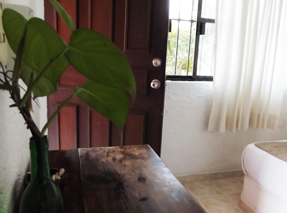 Matisse Tulum