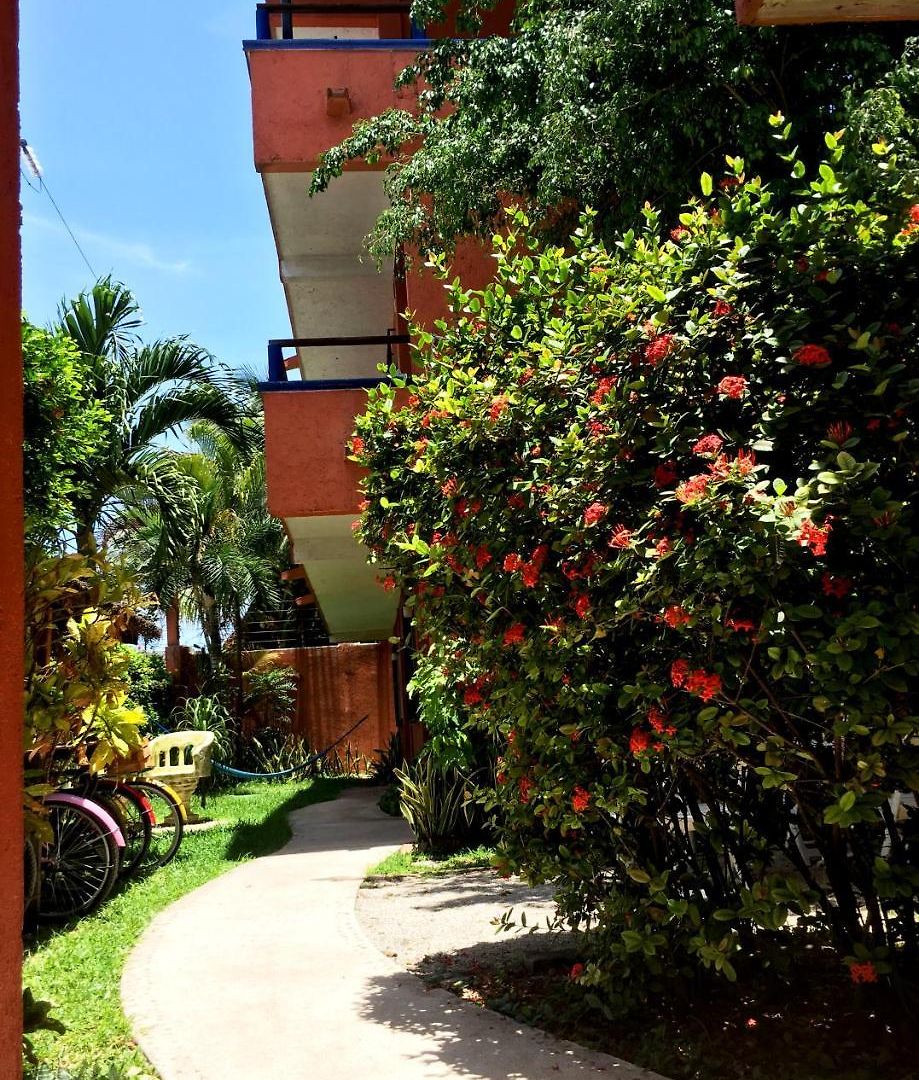Matisse 2* Tulum