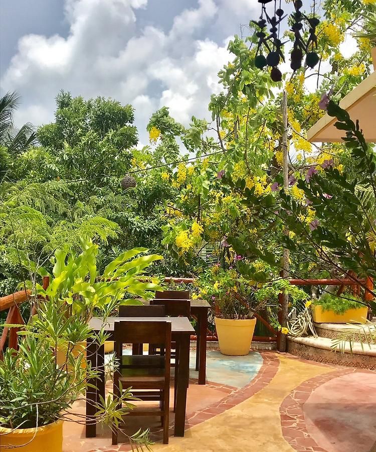 Maison Hotel 3*