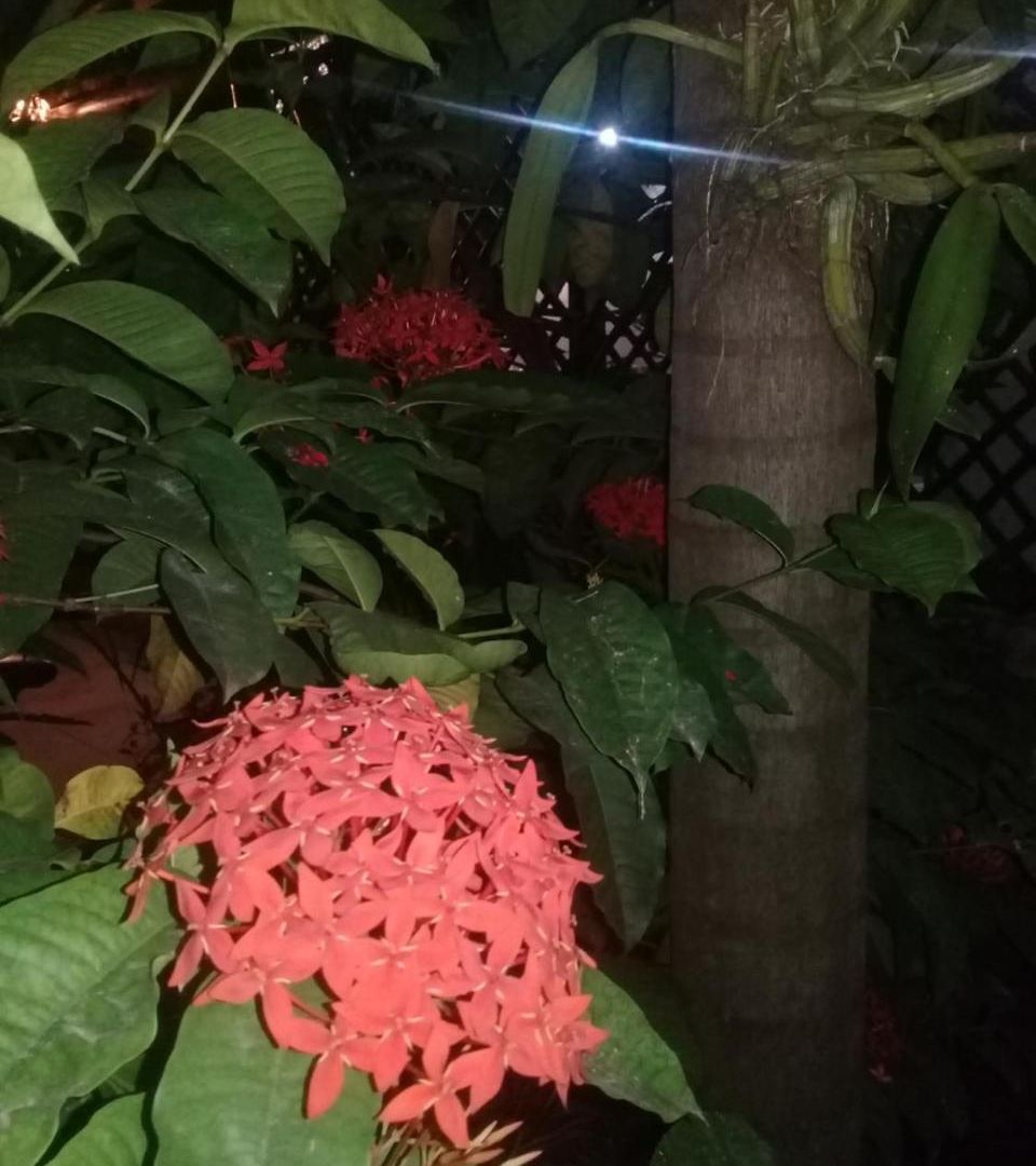 Hostal Rancho Tranquilo *