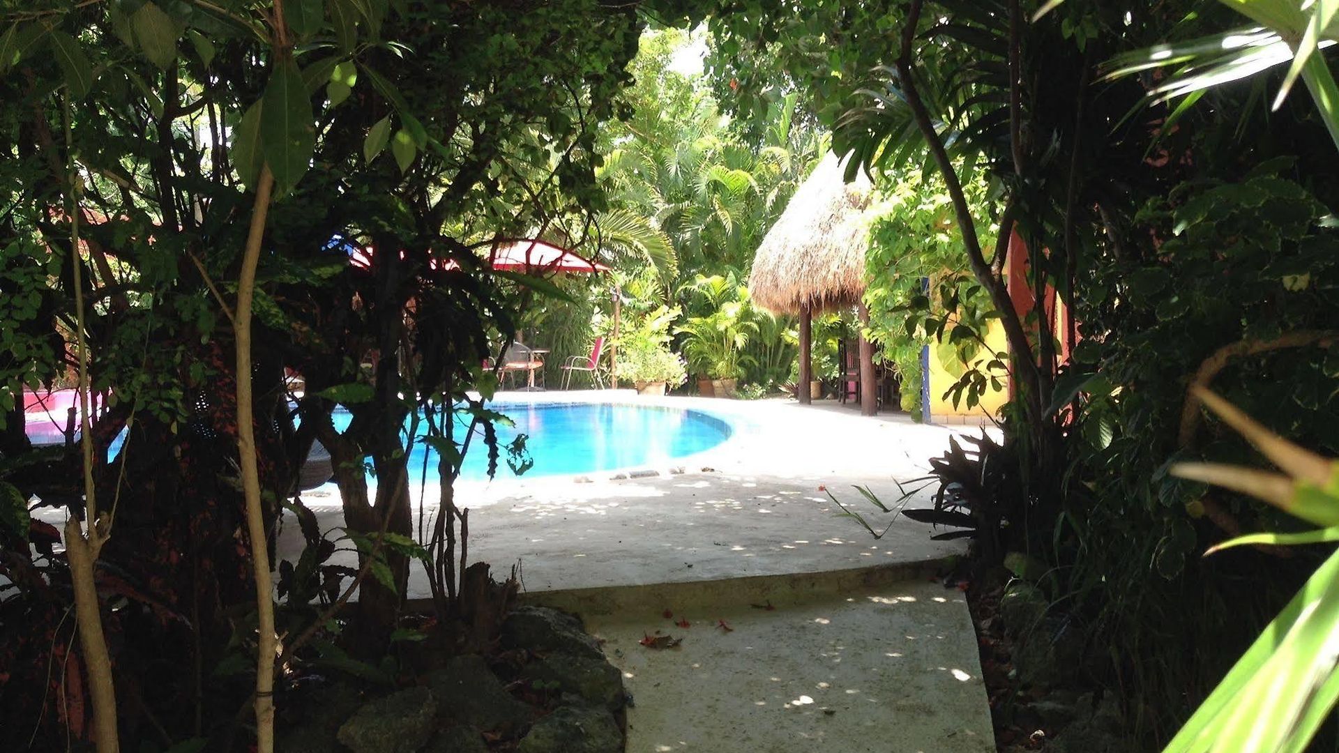 Bed & Breakfast Casa Don Diego