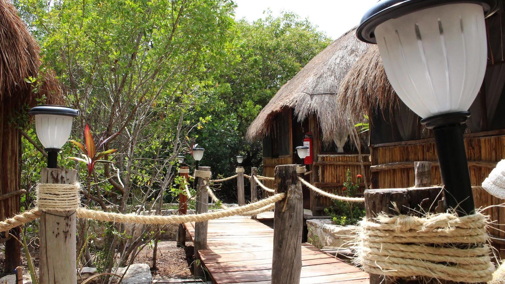 Maya Y Cenote