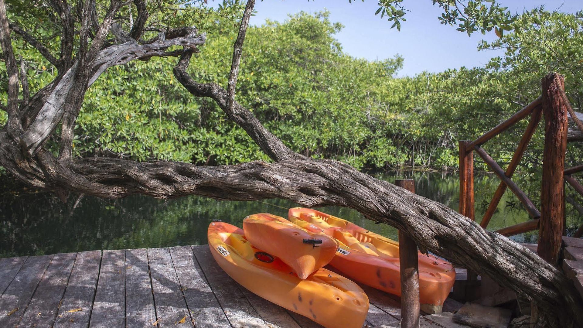 Maya Y Cenote Hotel