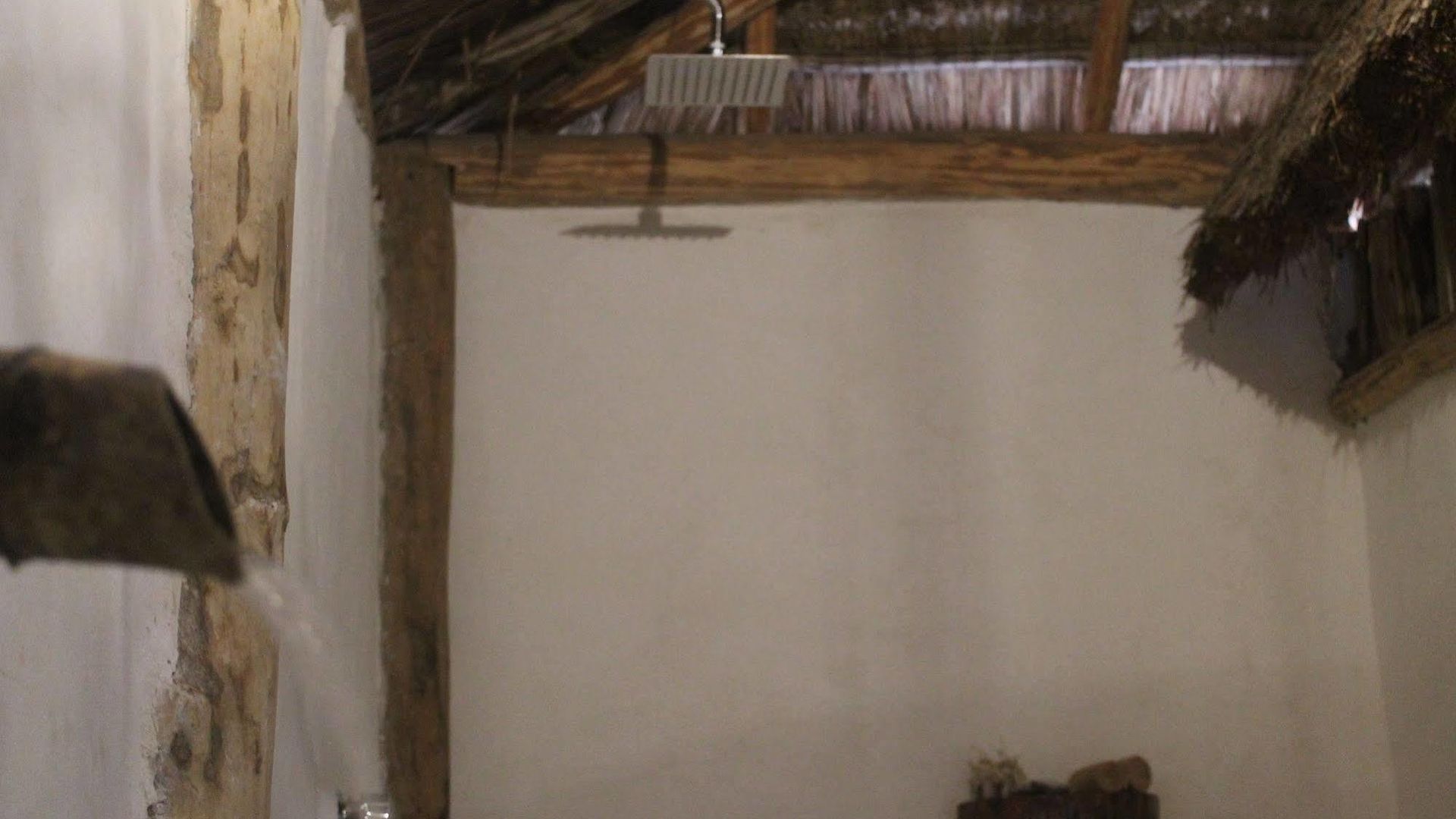 Maya Y Cenote