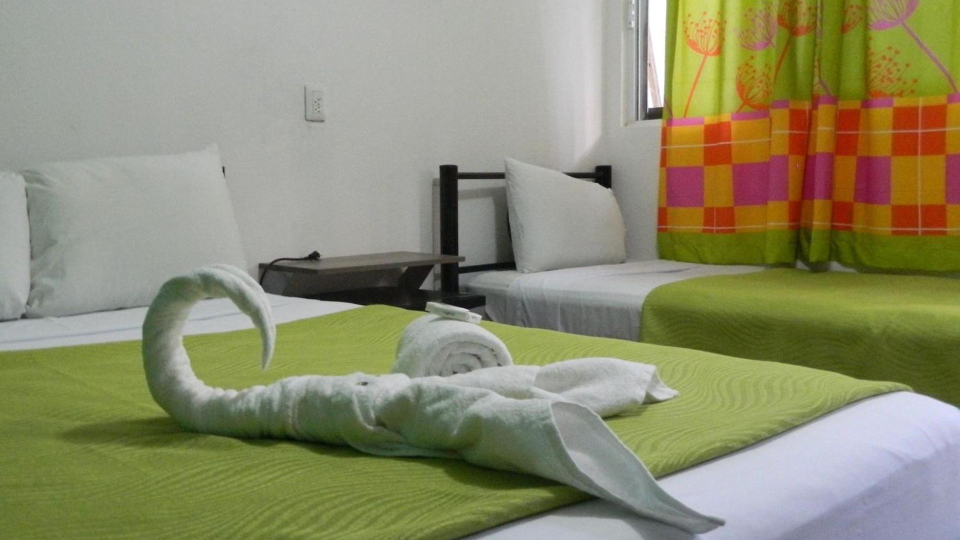 Emotion Avenida & Hostal Tulum