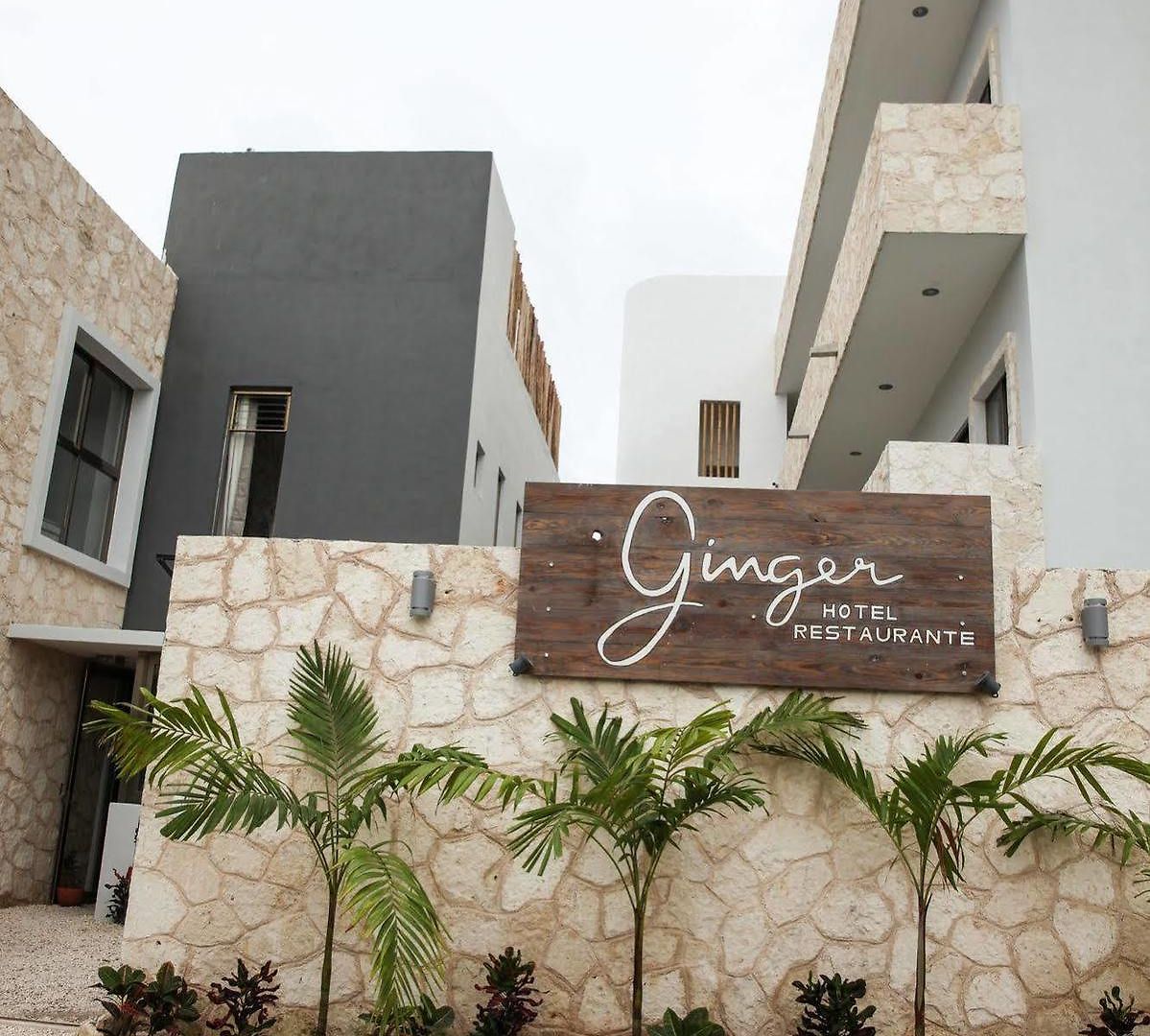 Ginger Tulum