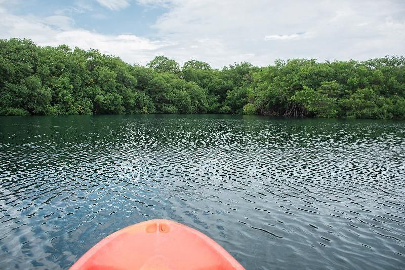 Hotel Maya Y Cenote