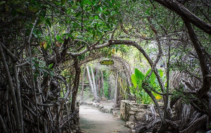 Maya Y Cenote Hotel Tulum