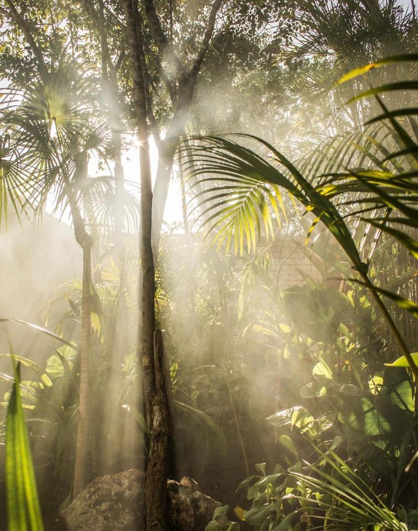 Jungle Keva & Venue Villa Tulum