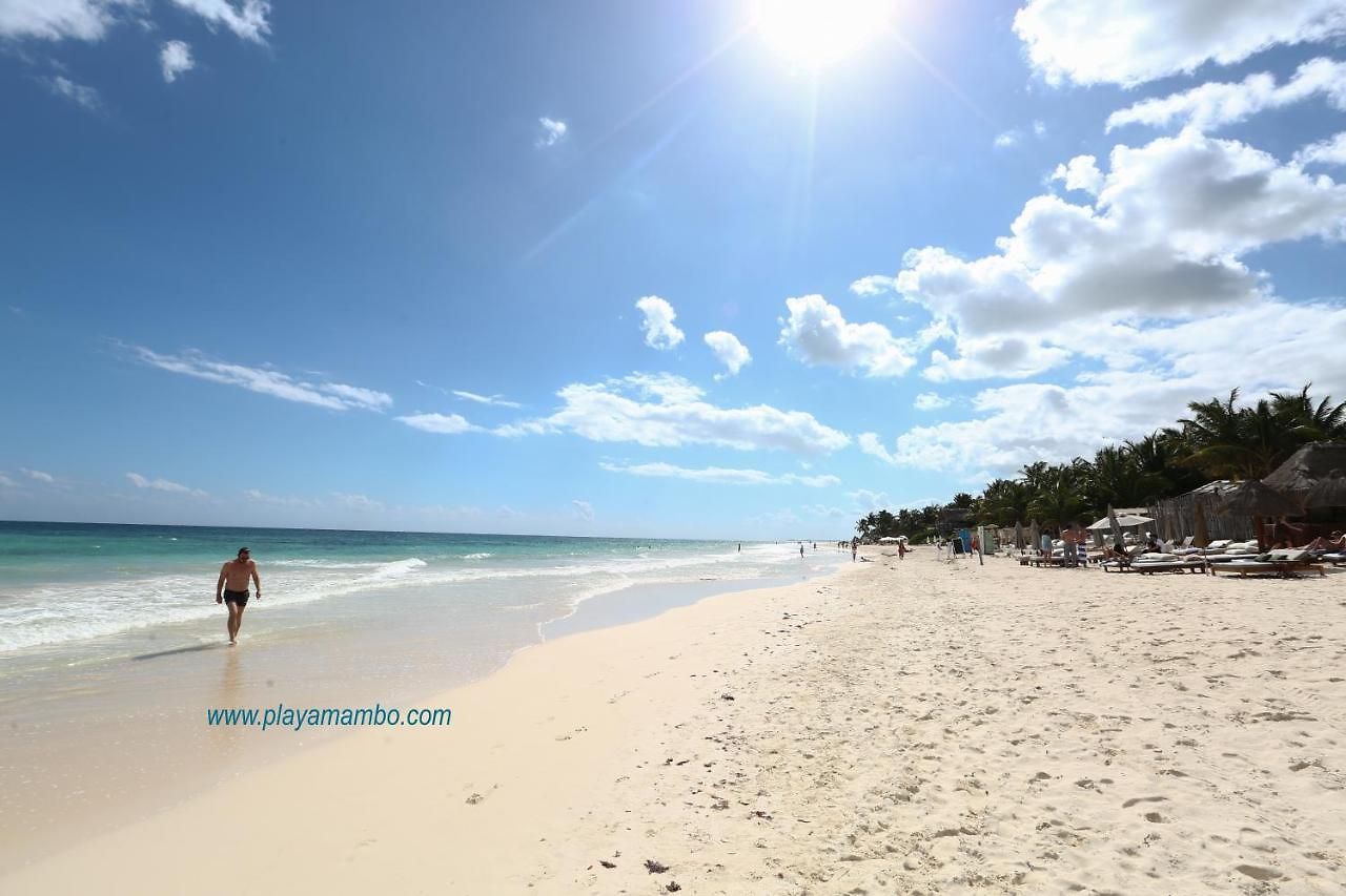 Hotel Playa Mambo Eco Cabanas