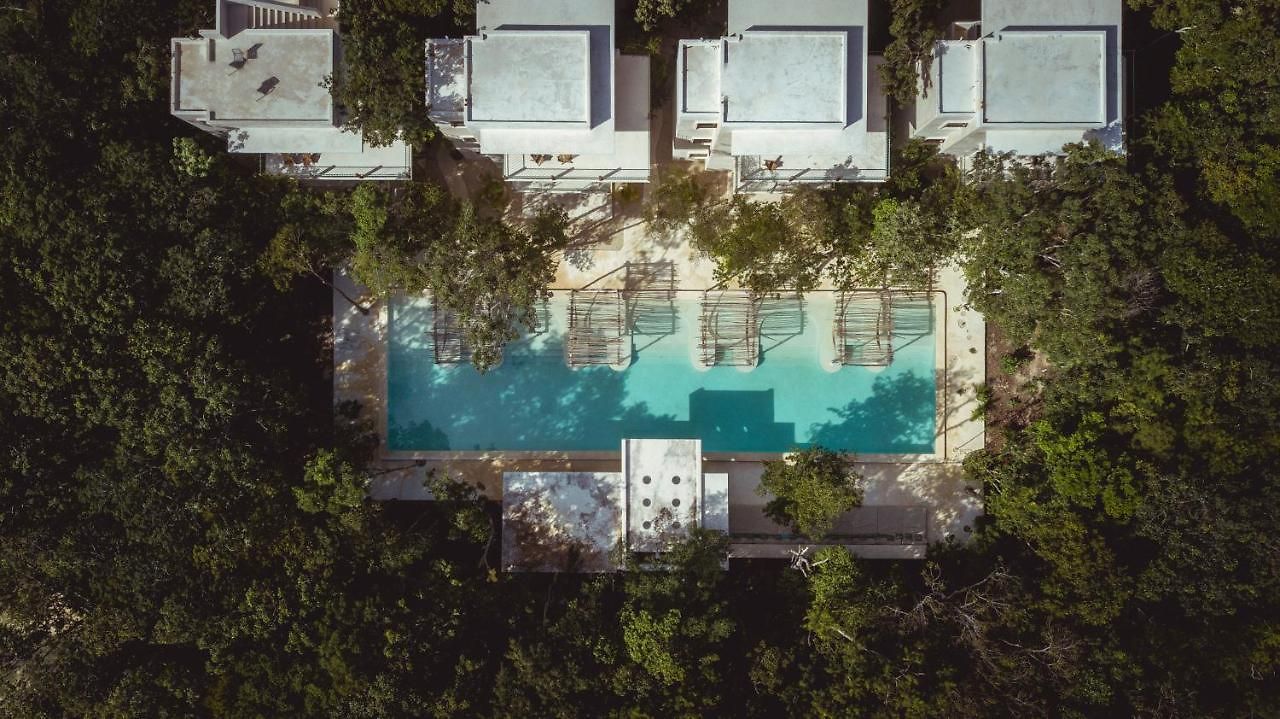 Holistika Tulum