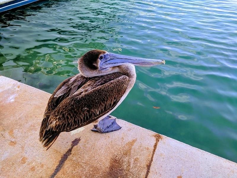 Bahia Principe & Golf Residences