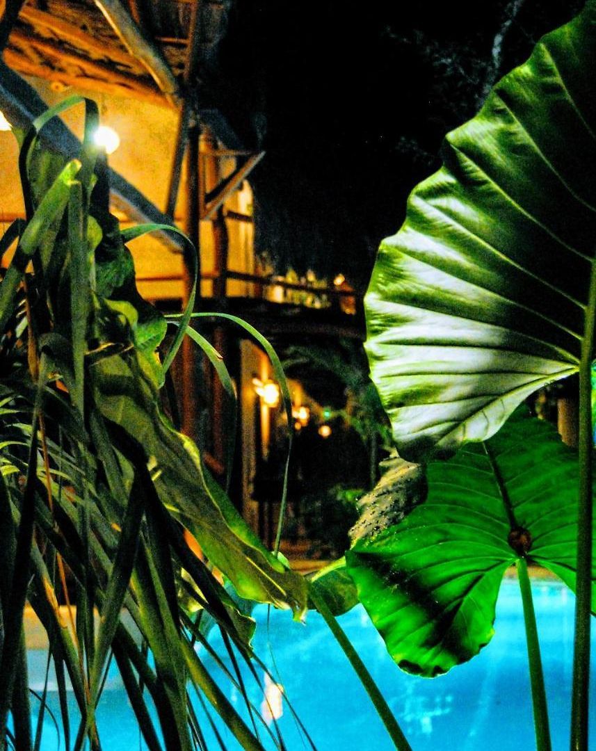Hotel Boutique Terranova Tulum