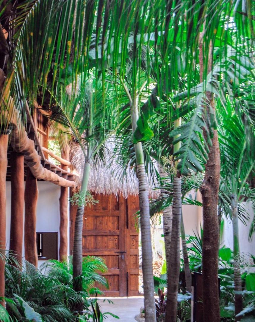 Boutique Terranova Hotel 3*