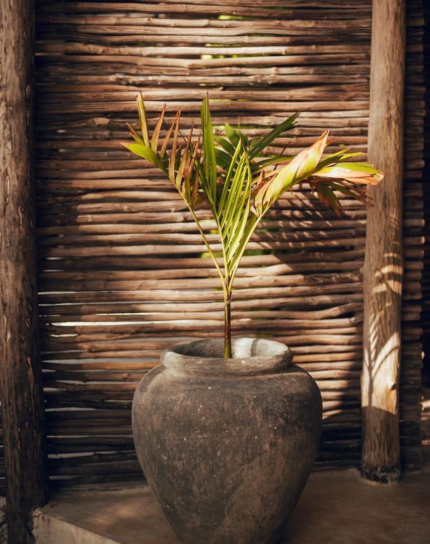 Tribal Hotel