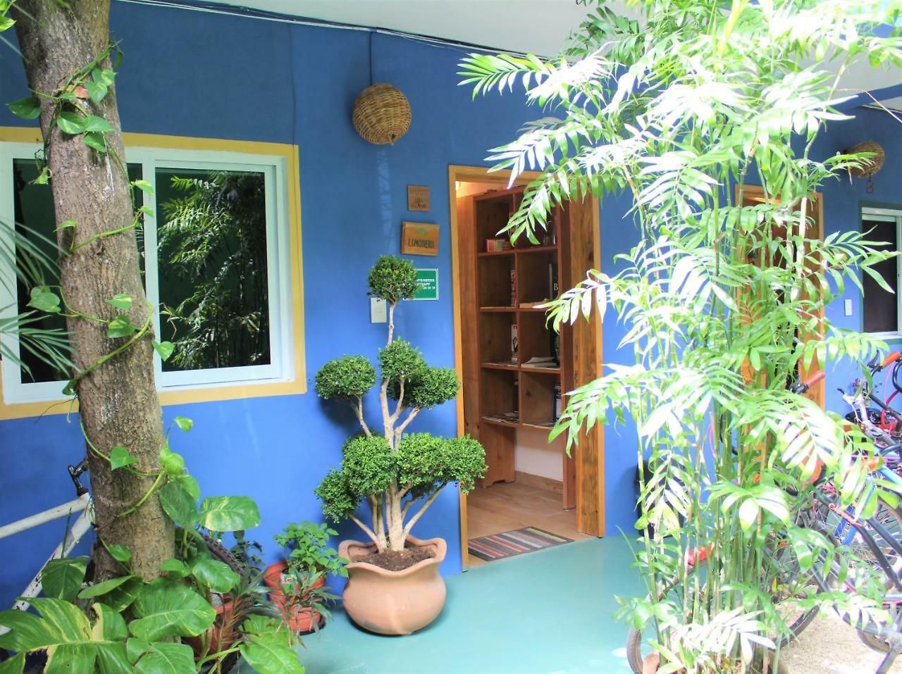 Casa Almendro 2*