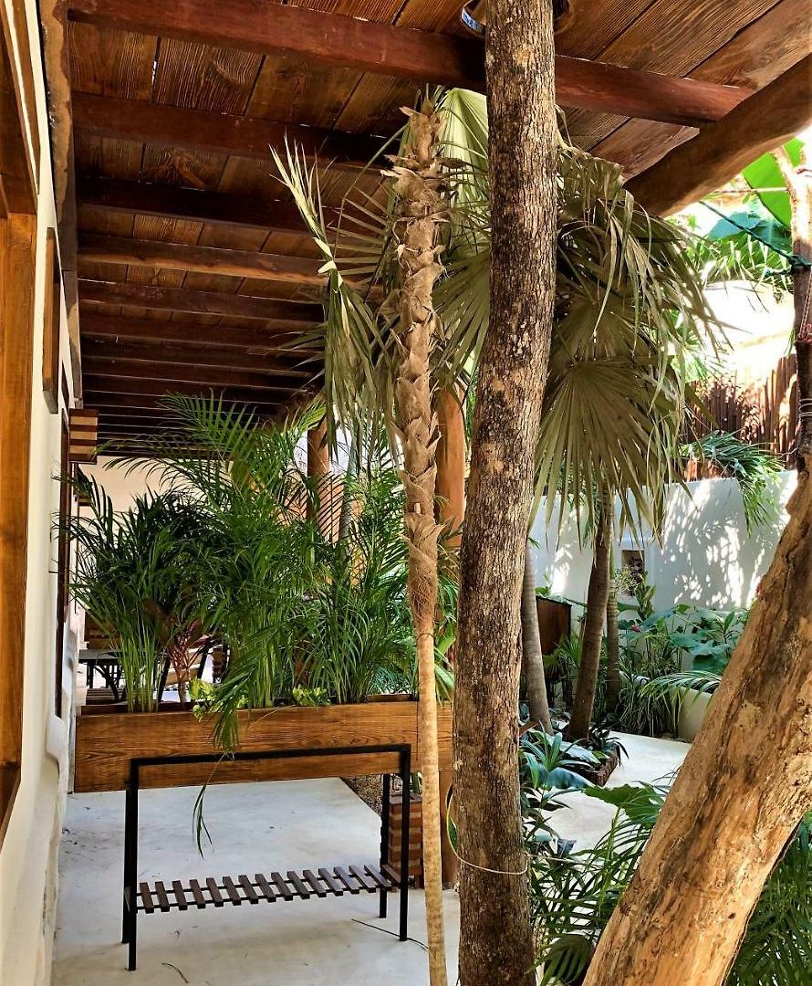 Boutique Terranova Hotel 3*