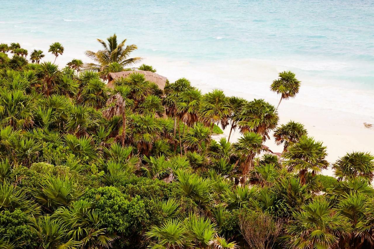 Hotel Papaya Playa Project, Tulum, A Member Of Design Tulum
