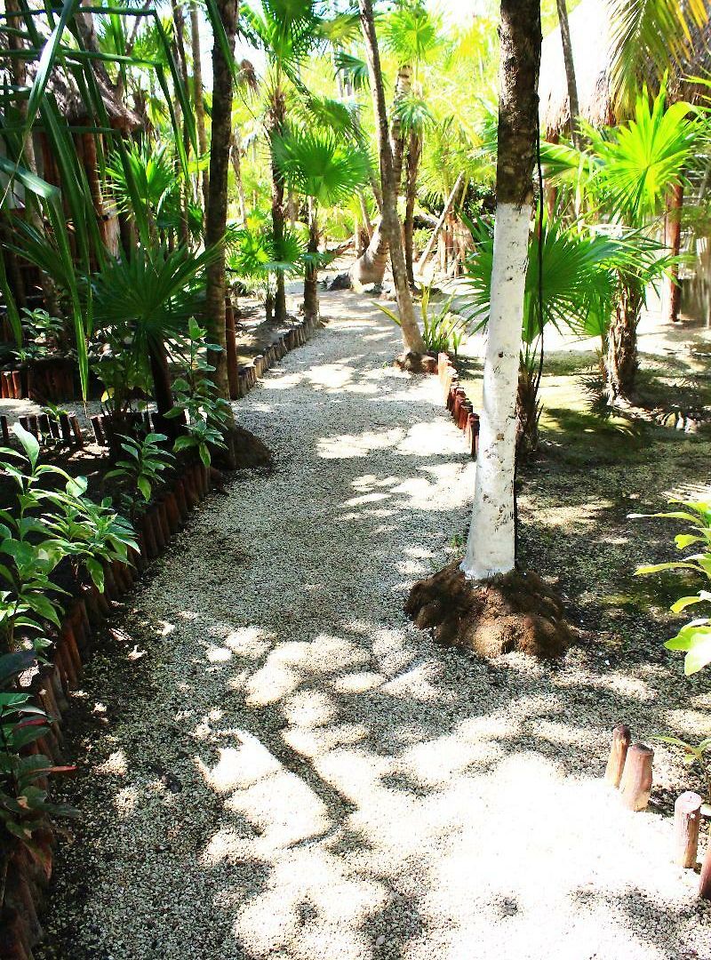 Hotel Maya Y Cenote Tulum