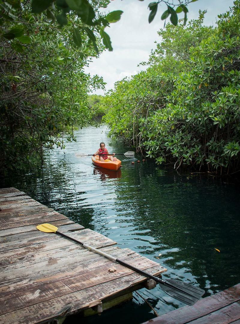 Hotel Maya Y Cenote