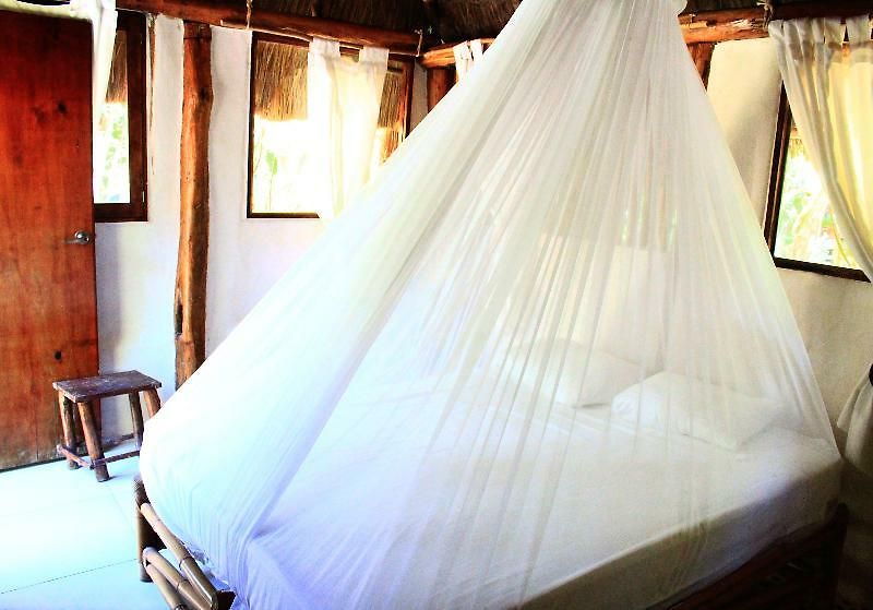 Maya Y Cenote Tulum