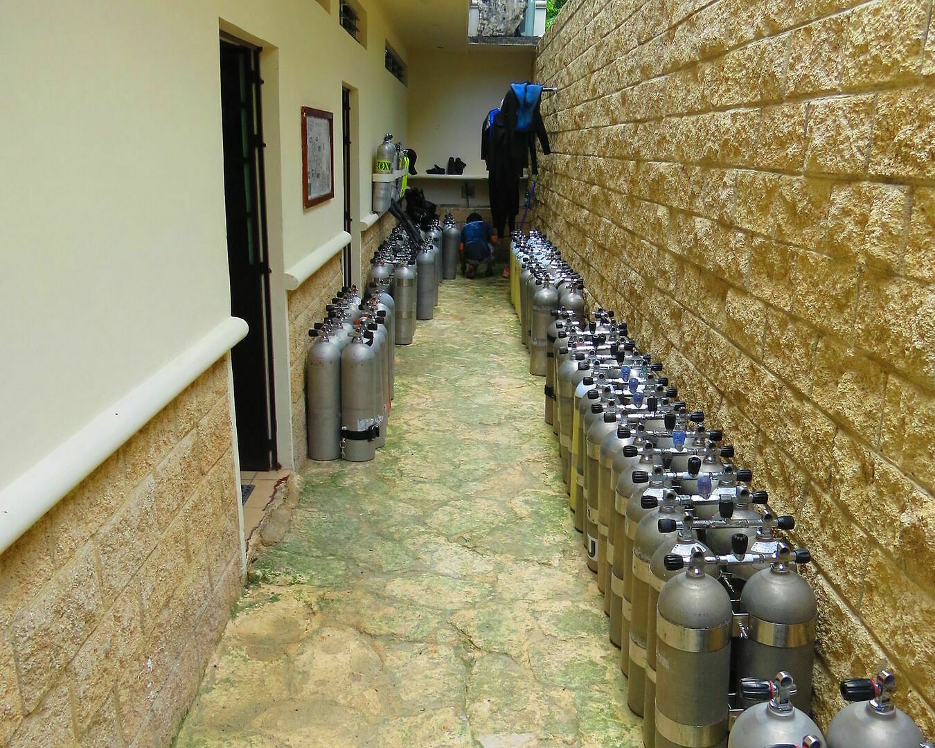Xibalba Dive Center Hotel Tulum