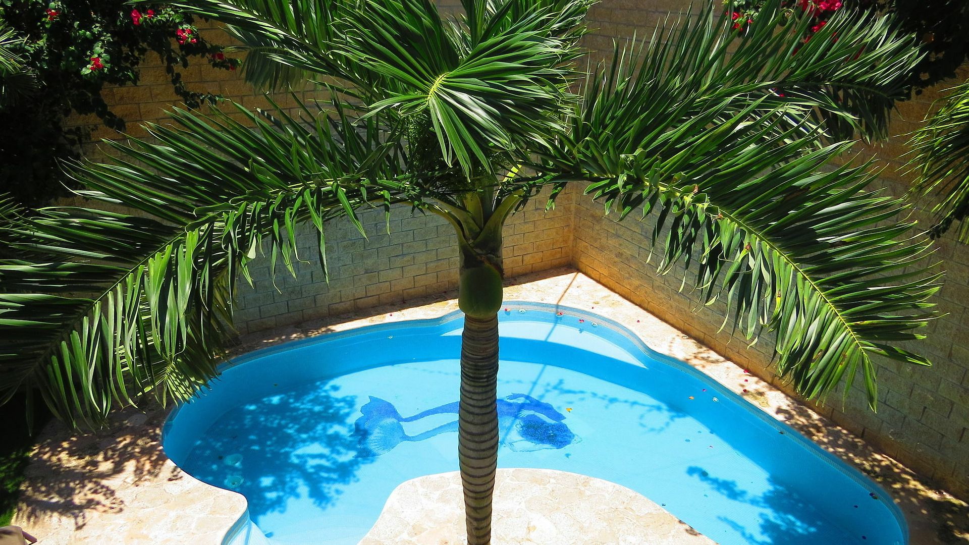 Hotel Xibalba Dive Center Tulum