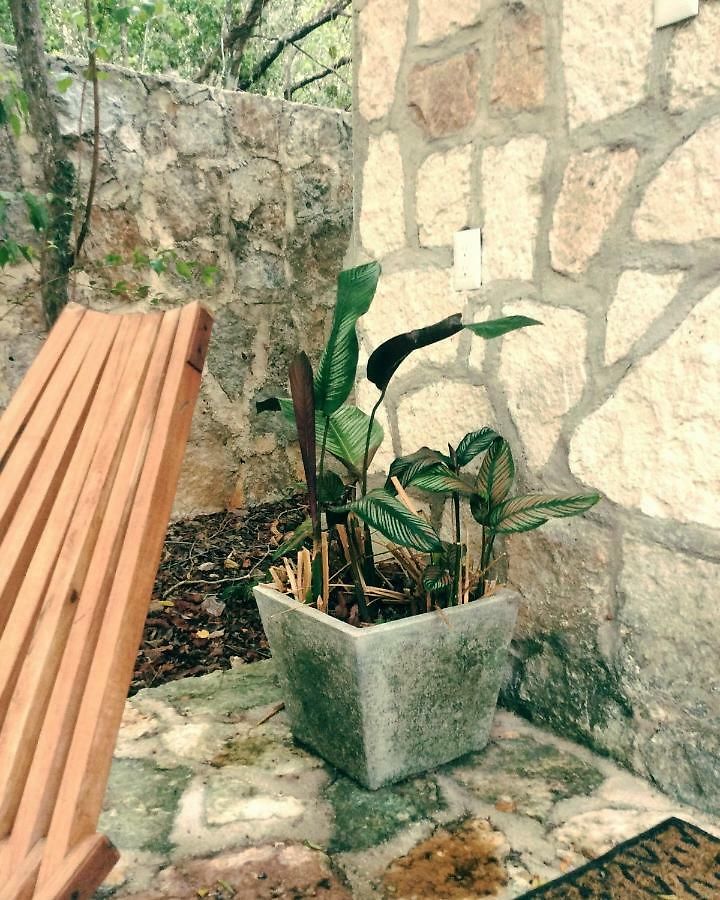 Escarabajo Rojo Bed and breakfast 3*