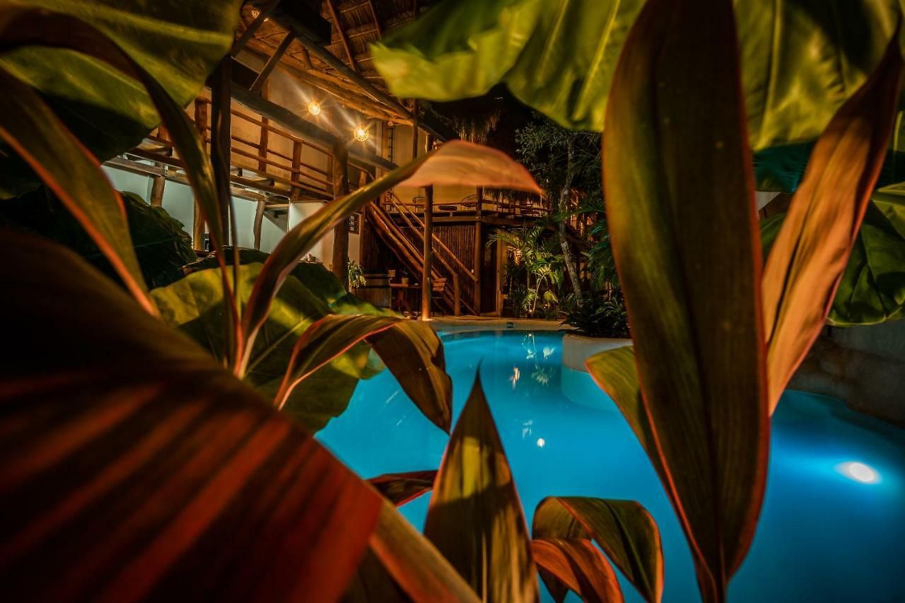 Hotel Boutique Terranova 3*