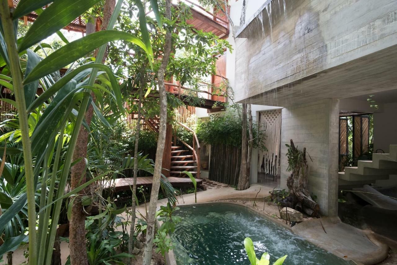 Orchid House Jungle
