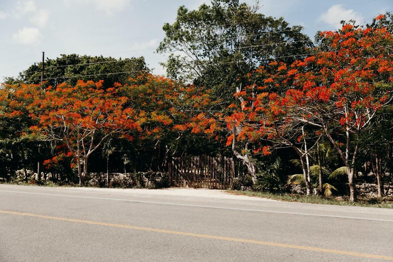 Eco By Biwa Lodge *