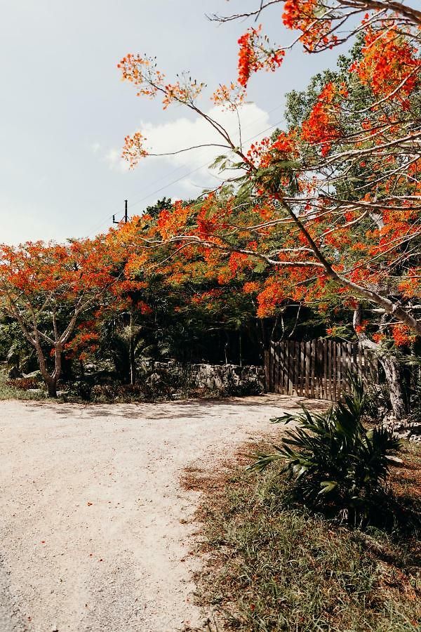Eco By Biwa Tulum