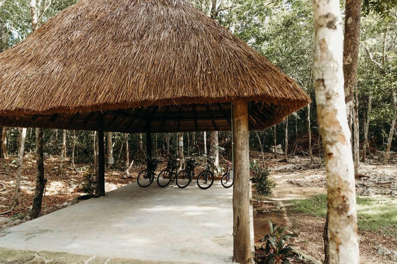 Lodge Eco By Biwa