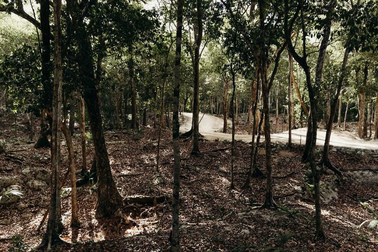 Lodge Eco By Biwa Tulum