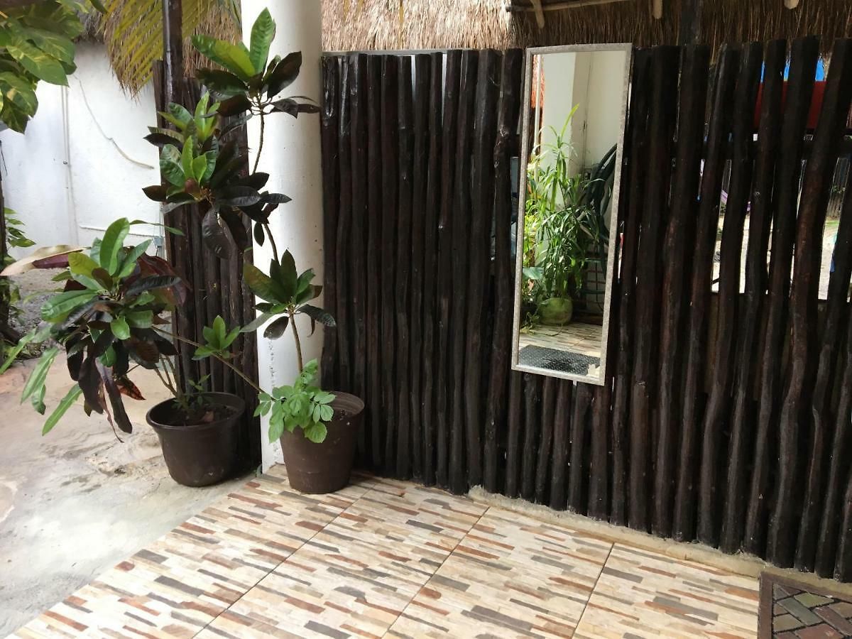 Cha Cha Cha Hostal