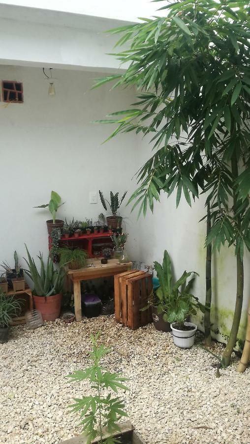 Casa Neptuno * Tulum
