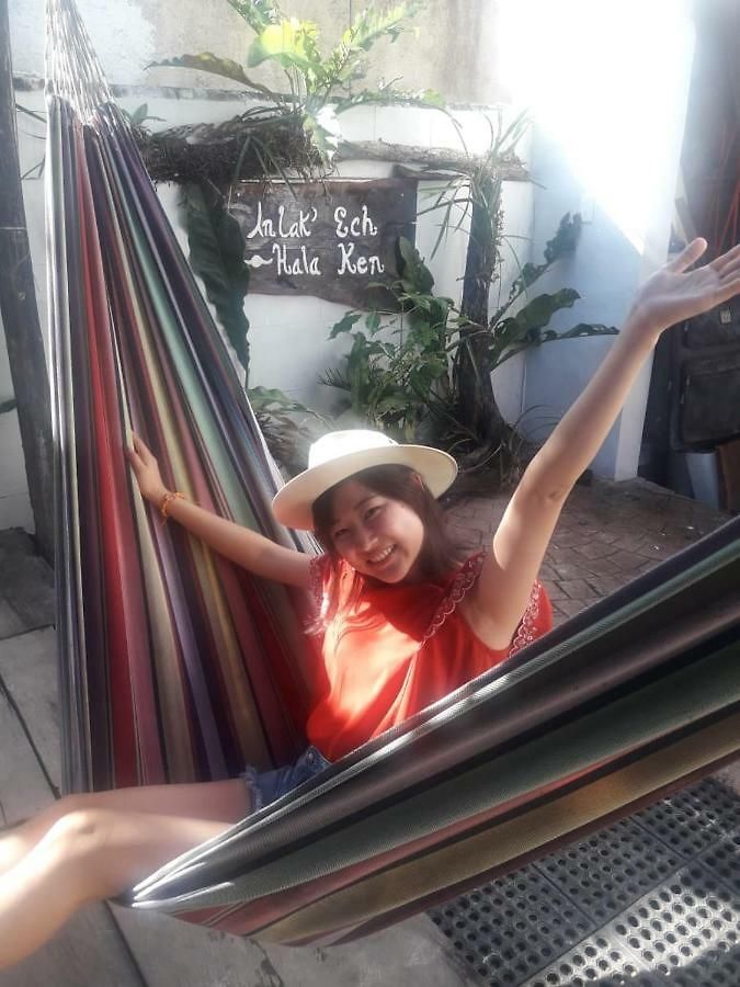 Guest house Albatros *