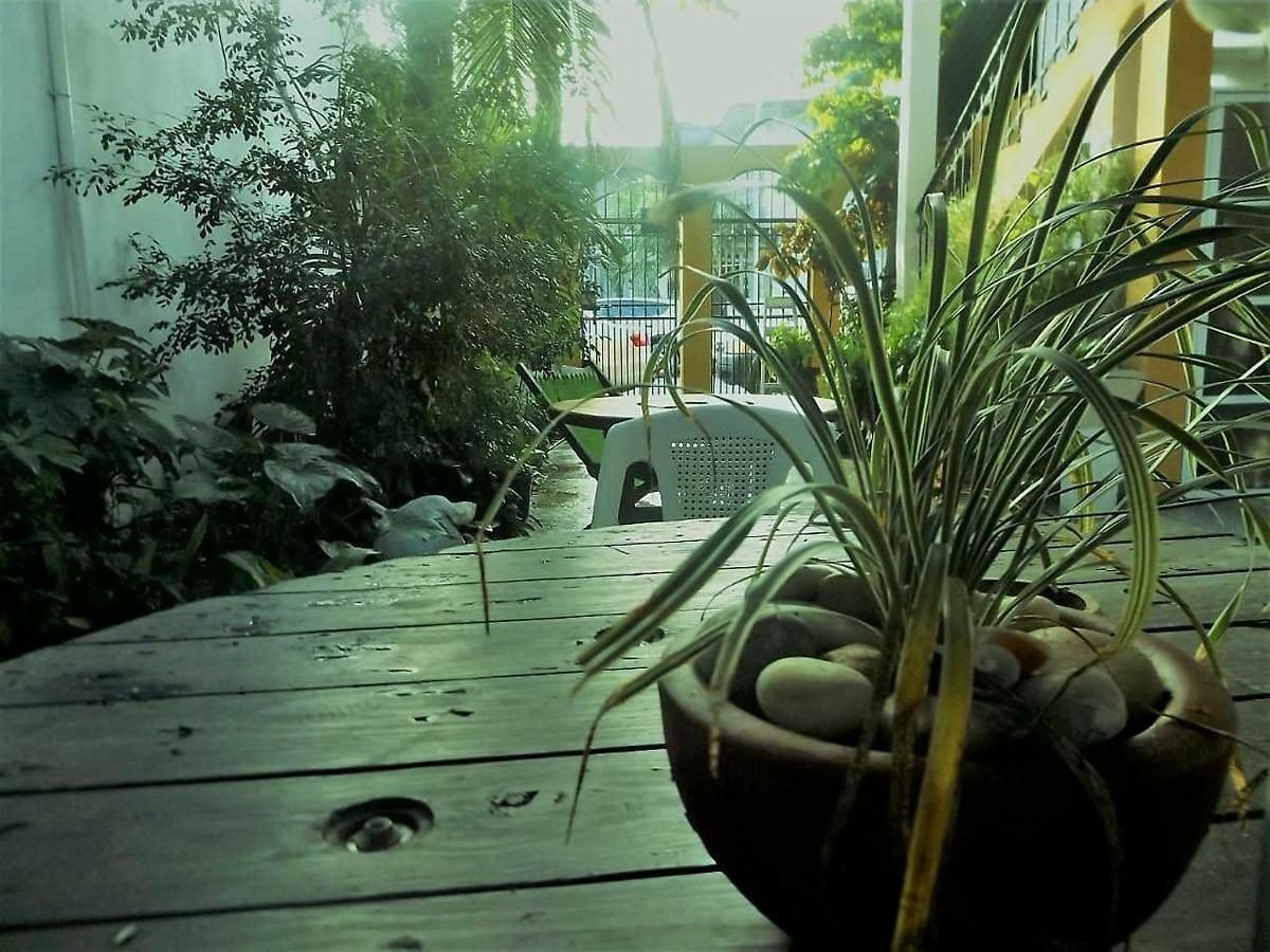 Chichi House *