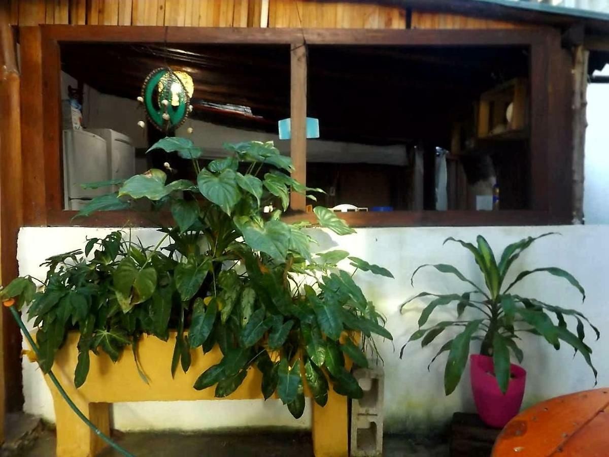 Guest house Chichi House *