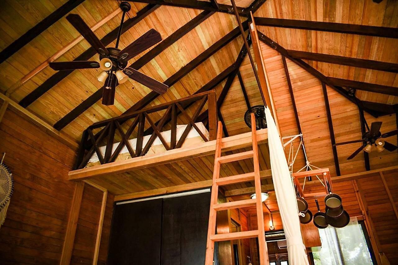 Alicat Villa Tulum