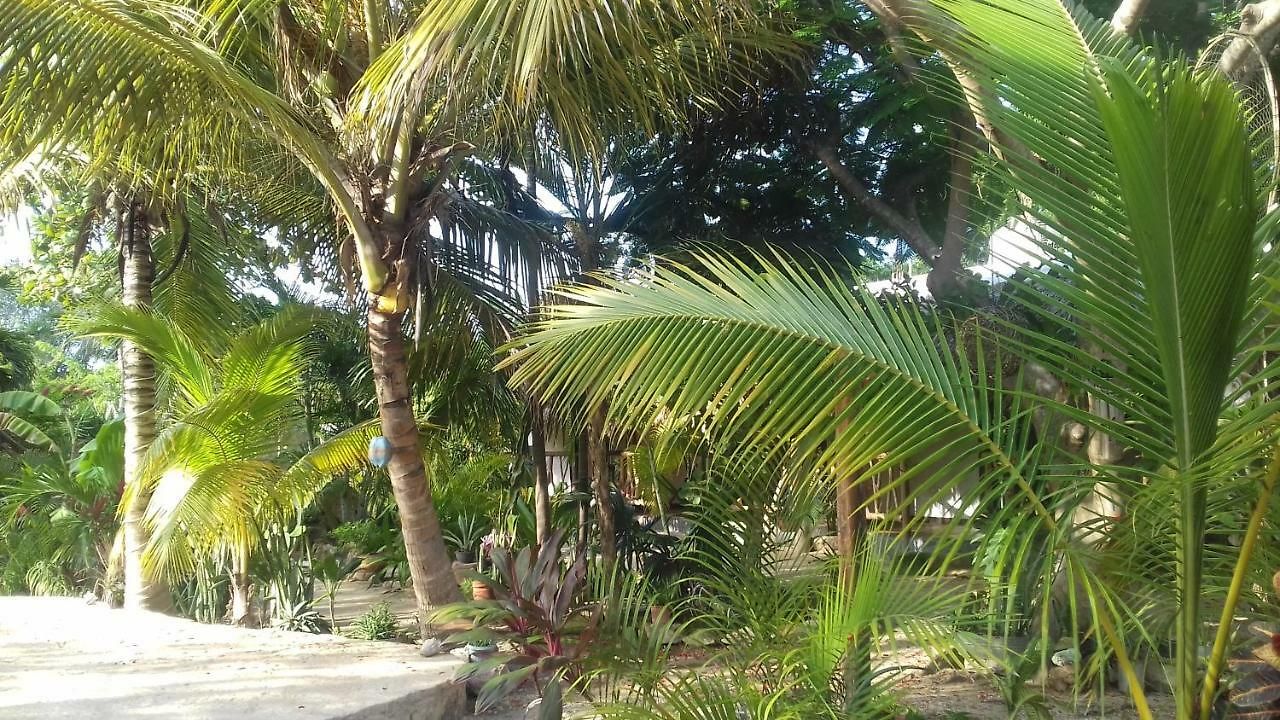 Zamunda Garden View 2*