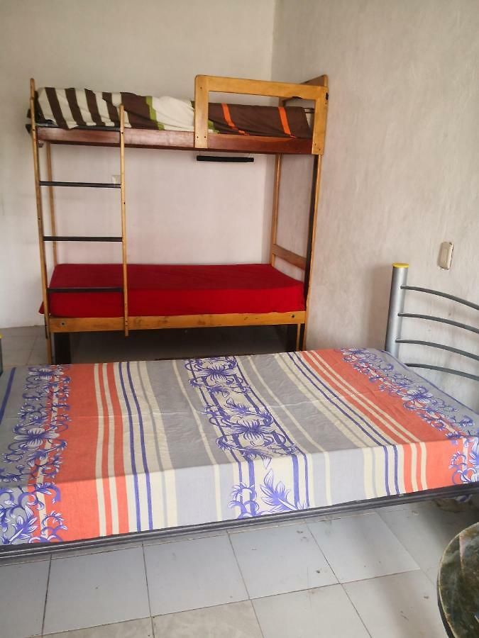 Guest house Albatros *