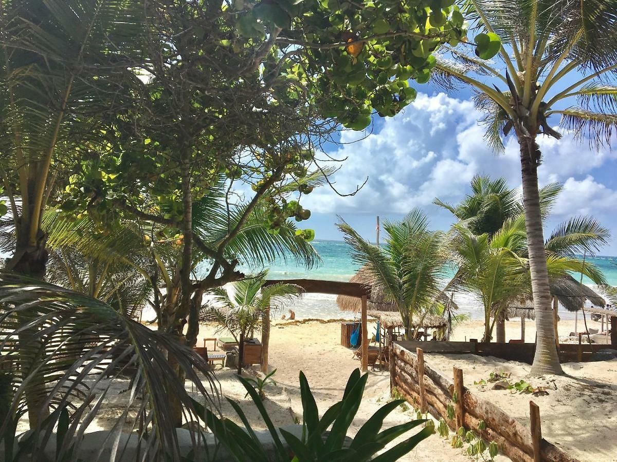 (adults Only) Tulum