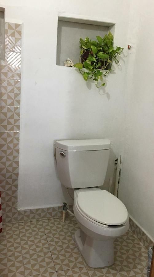 Cha Cha Cha Hostal Tulum