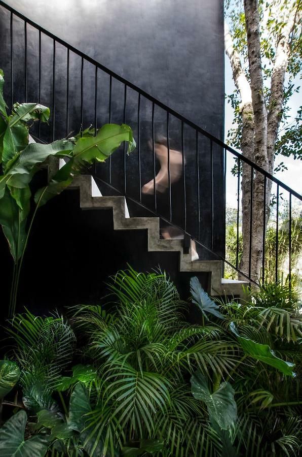 Lagú Masterpiece Jungle 5br Pool&spa Villa Tulum