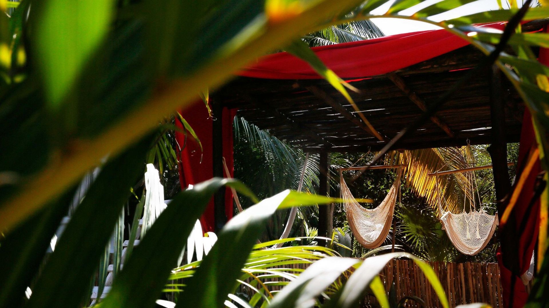 Casa Selva De Luz