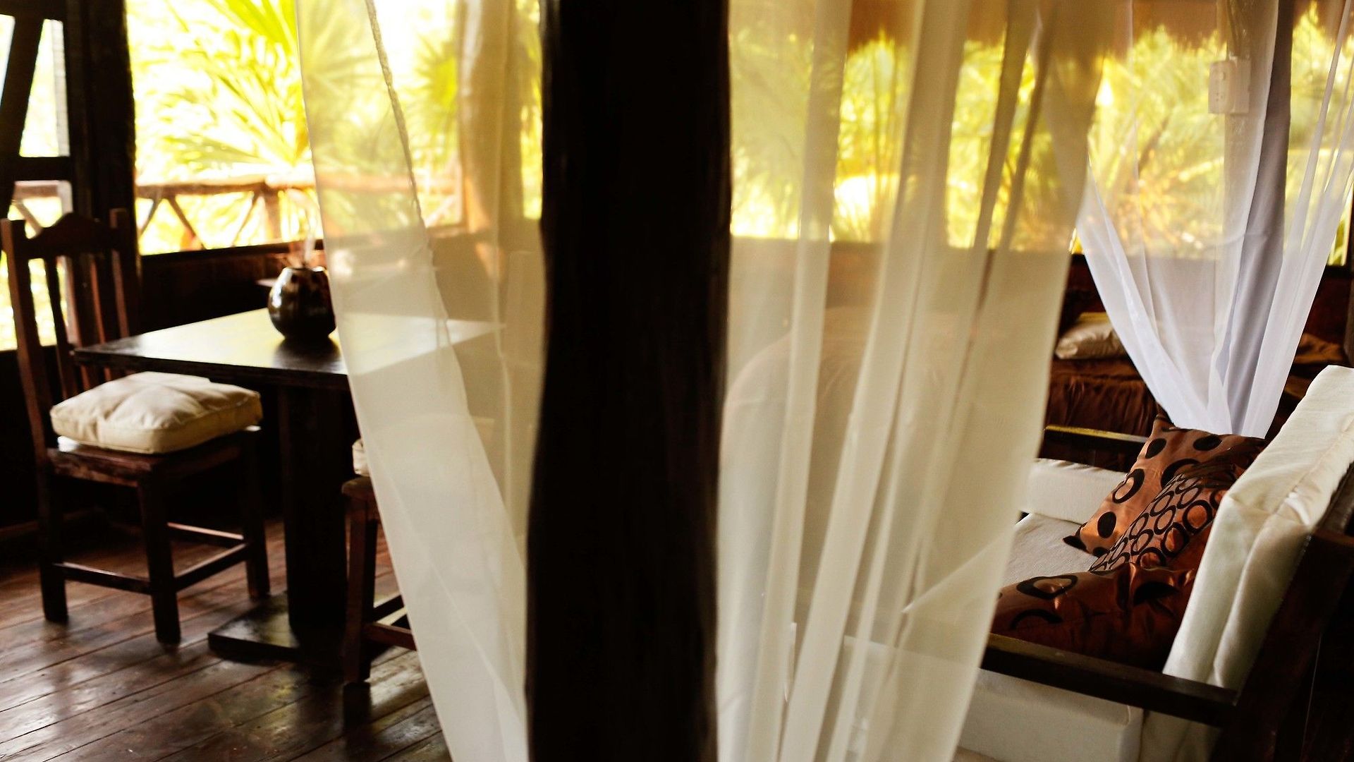 Casa Selva De Luz *