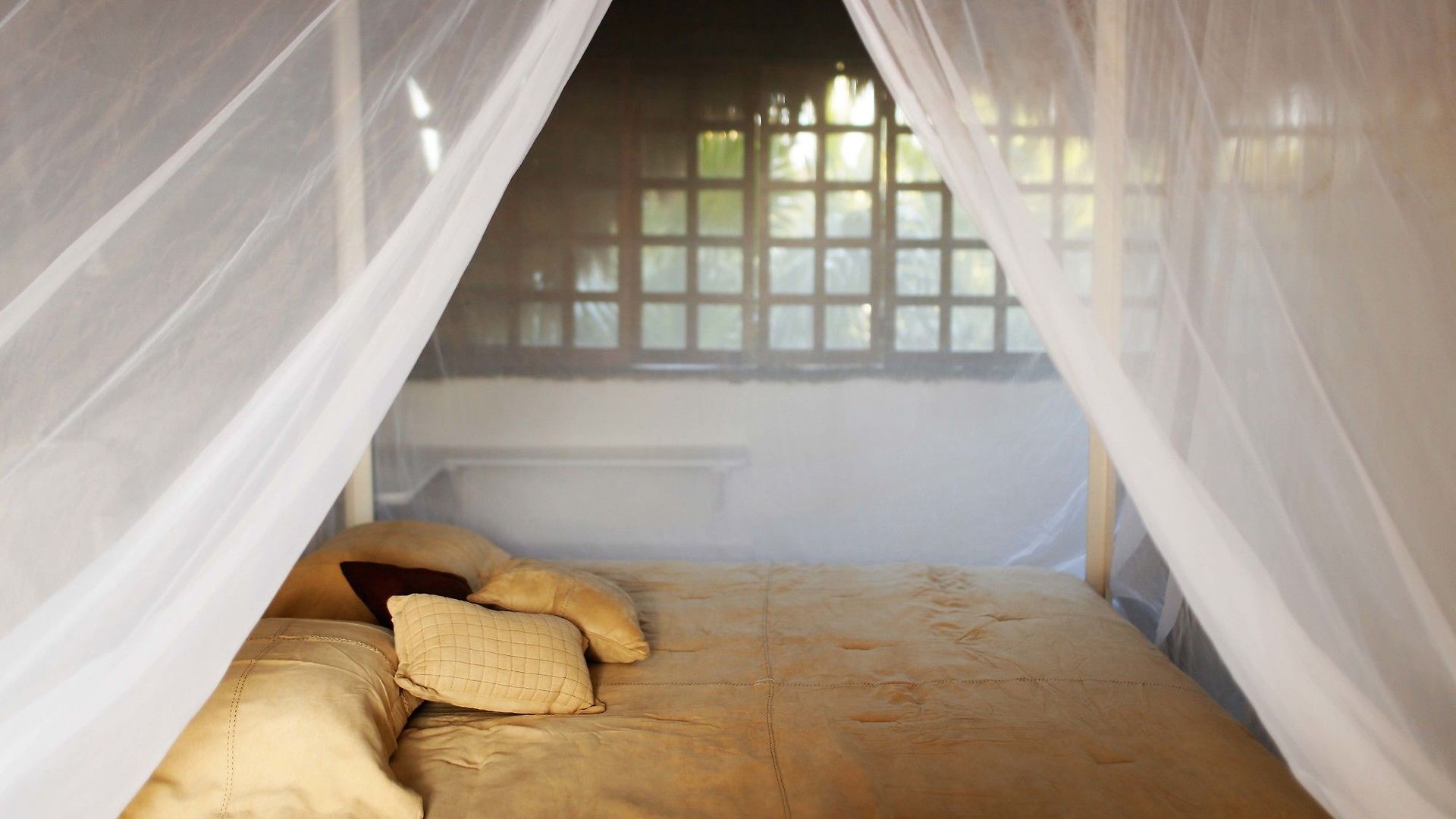 Casa Selva De Luz Tulum